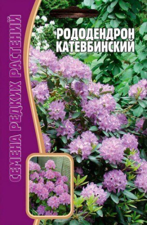 Рододендрон Катевбинский 10шт (Ред.сем)