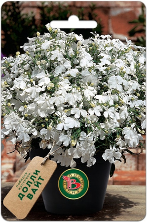 Лобелия Долли Вайт кустовая однолетник 10шт (Биотехника)