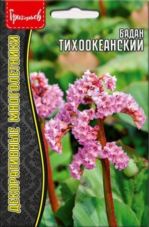 Бадан Тихоокеанский многолетник 0,01г (Ред.Сем)