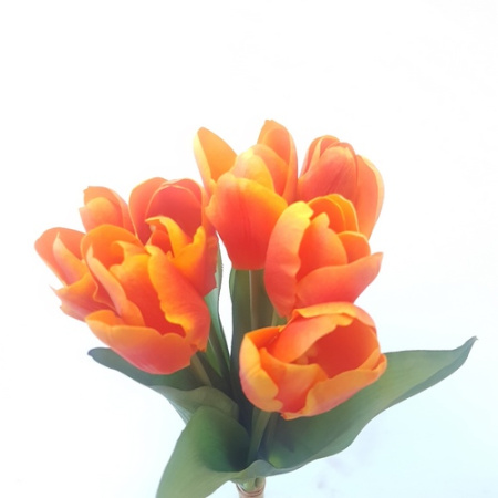 Букет тюльпан оранжевый 7шт (Сиб Сад)