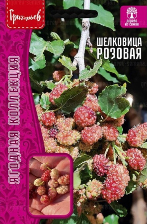 Шелковица Розовая 0,1г (Ред.Сем)