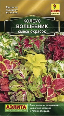Колеус Блюме Волшебник смесь 5шт (Аэлита)