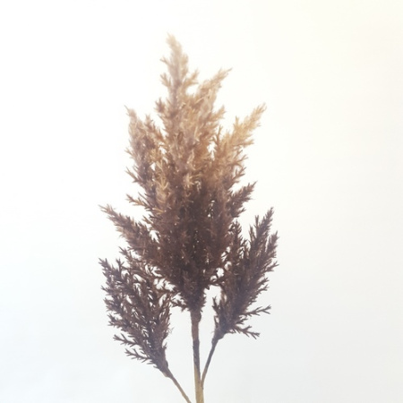 Ветка для декора коричневая 1шт (Сиб Сад)