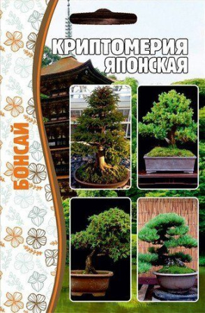 Криптомерия Японская Бонсай 5шт (Ред.сем)