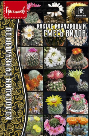 Кактусы смесь карликовый 3шт (Ред.Сем)