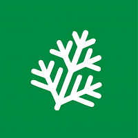 Укроп
