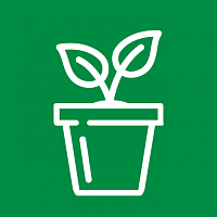 Горшки для комнатных цветов