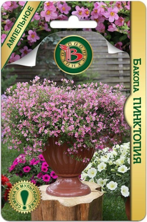 Бакопа Пинктопия однолетник 5шт (Биотехника)