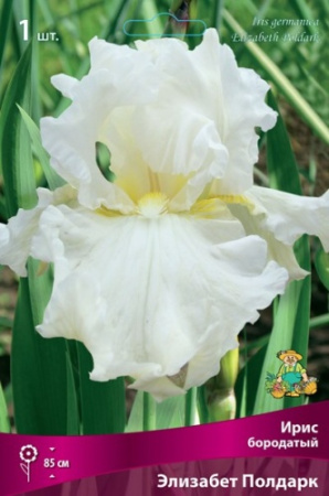 Ирис Элизабет Полдарк (Германский) 1шт (Поиск)
