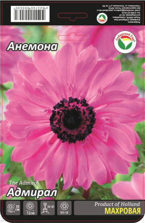 Анемона Адмирал 5/6 15шт (Сиб сад)