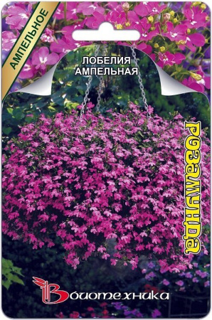 Лобелия Розамунда ампельная однолетник 1000шт (Биотехника)