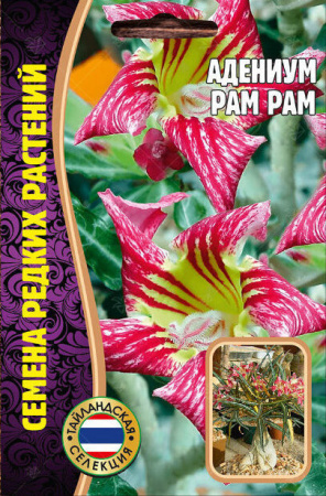 Адениум РАМ РАМ 3шт (Ред.Сем)
