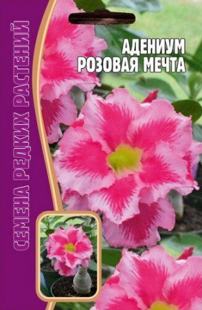 Адениум Розовая Мечта 3шт (Ред.Сем)