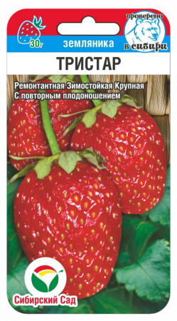 Земляника Тристар 10шт (Сиб сад)