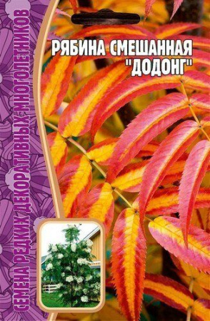 Рябина Додонг смешанная 5шт (Ред.сем)