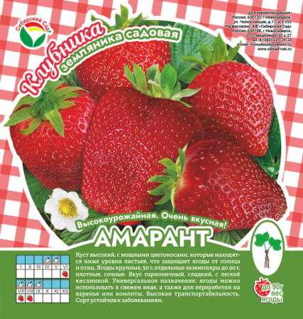 Клубника Амарант А 10шт/пучок (Сиб сад)
