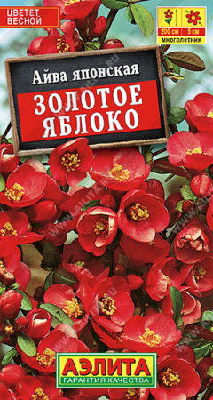 Айва японская Золотое яблоко 10шт (Аэлита)