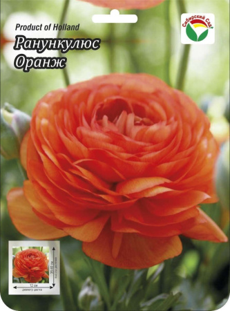 Ранункулюс Оранж 5/6 15шт (Сиб сад)