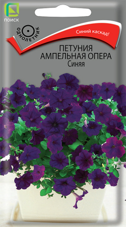 Петуния ОПЕРА Синяя ампельная однолетник 5шт (Поиск)