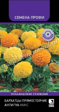 Бархатцы Антигуа Микс Профи однолетник 15шт (Поиск)